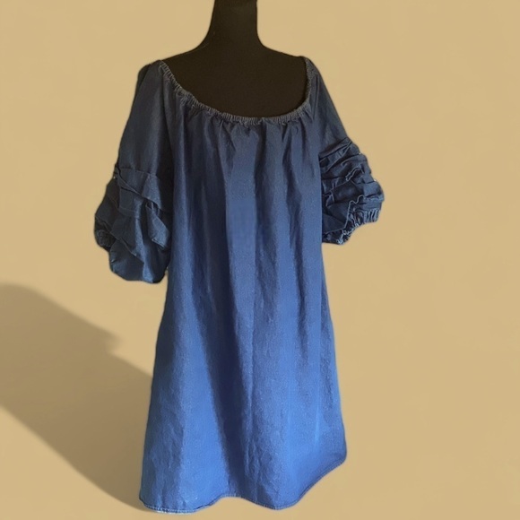 LOVE by Christley Denim Country Western Ruffle Sleeve Dress Pull-On Size 2X - Picture 11 of 11